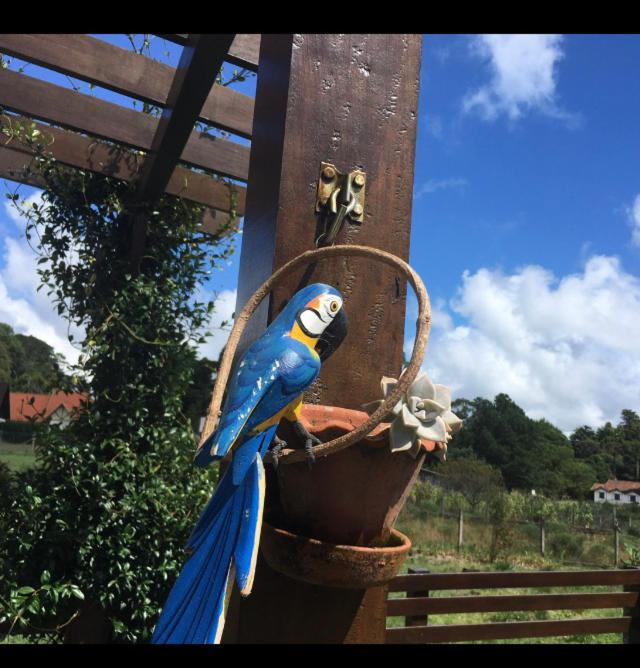 Casa Da Serra São Francisco de Paula Dış mekan fotoğraf